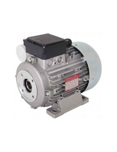 Motor de 12,5 hp 400v 50 hz h 132s doble rodamiento - Máxima calidad